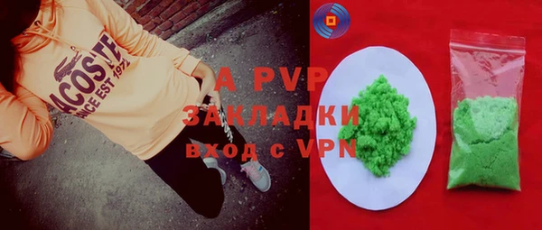 PSILOCYBIN Вязьма