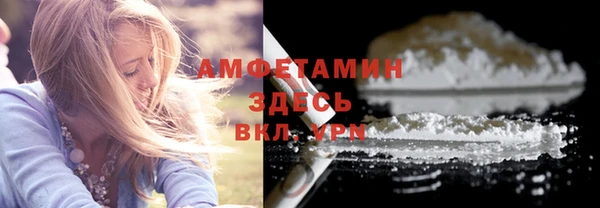 дурь Вяземский