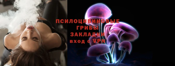 дурь Вяземский