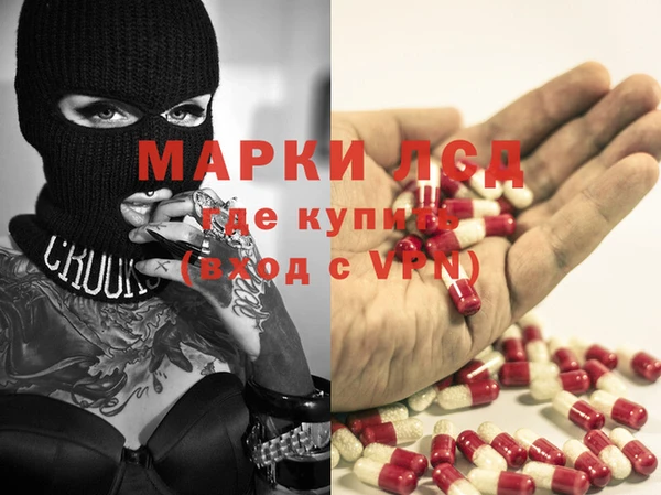 PSILOCYBIN Вязьма