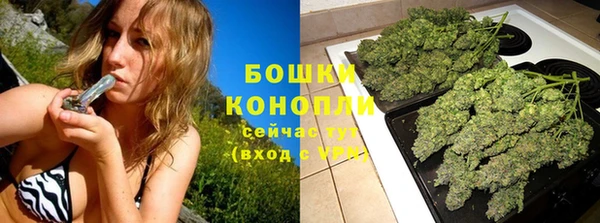 дурь Вяземский