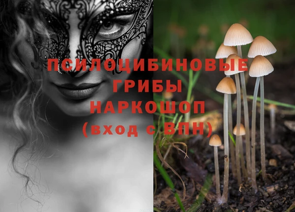 PSILOCYBIN Вязьма