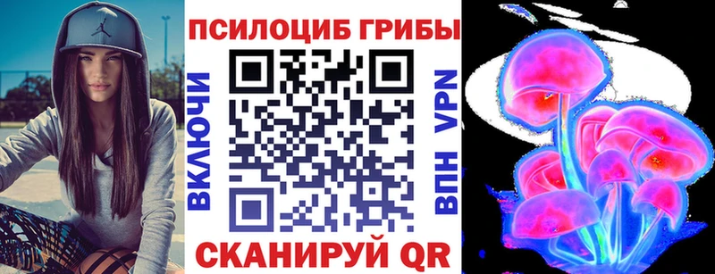 Псилоцибиновые грибы Cubensis  Гдов 