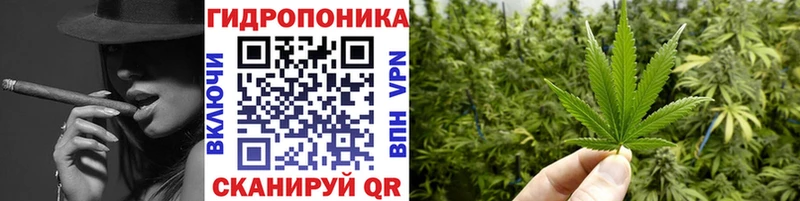купить   Гдов  Бошки марихуана SATIVA & INDICA 